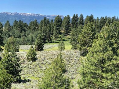 Rolling Terrain & Mature Timber
