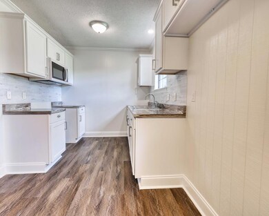 191 James St, Brantley, AL 36009 - photo 6