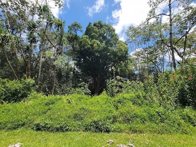 0 S Nenue St unit 725903, Pahoa, HI 96778 - photo 6