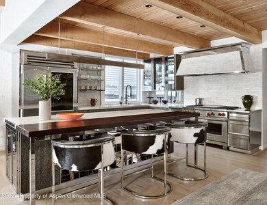 109 N 2nd St, Aspen, CO 81611 - photo 5