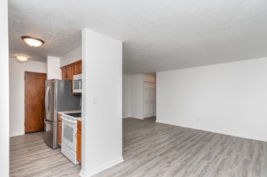 Fin-Nuala unit 404, Joliet, IL 60435 - photo 4