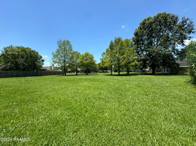 Back yard views