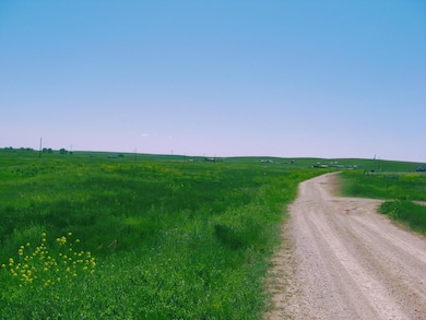 0 Gobbler Ln unit Lot 56 Gobbler Ln. R, Smithwick, SD 57782 - photo 3