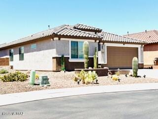 Desert Landscaping