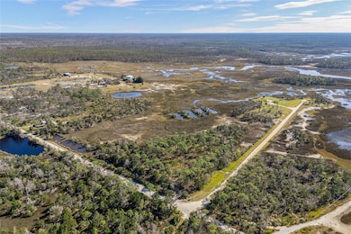 125 SW 284th Ave, Steinhatchee, FL 32359 - photo 5