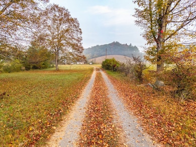 0 Big Draft Rd unit 25758620, White Sulphur Springs, WV 24986 - photo 2