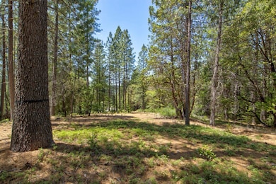 0 Kentucky Flat Rd unit 11555904, Georgetown, CA 95634 - photo 6