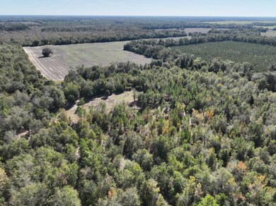 5018 Old Us Rd, Marianna, FL 32446 - photo 5