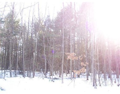 Yard/Garden. Private Wooded