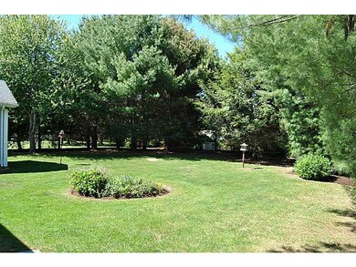 Yard/Garden.