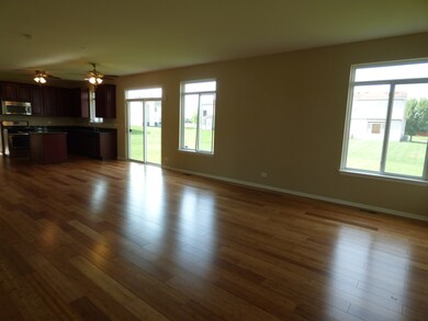 6520 Pasture Side Trl, Matteson, IL 60443 - photo 3