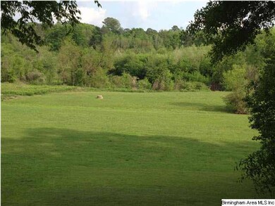THE CAHABA RIVER IS YOUR BACK YARD! PET OWNERS WIL