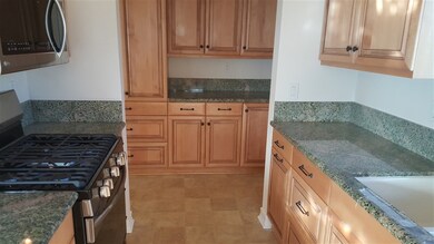 724 Snapdragon St, Encinitas, CA 92024 - photo 4