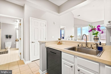 23 Pierside Dr unit 410, Baltimore, MD 21230 - photo 7