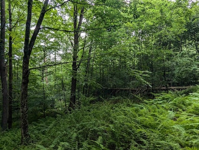 0 Dover Rd unit 5054979, Newfane, VT 05345 - photo 2