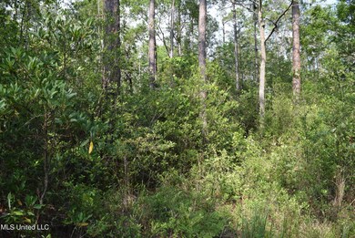 00 Avocado St, Bay Saint Louis, MS 39520 - photo 5