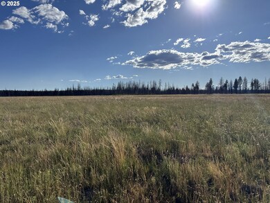 0 White Birch Way unit 10 100277061, Bly, OR 97622 - photo 2