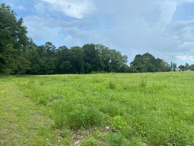 Lot 2A Antioch Rd, Conway, SC 29527 - photo 5