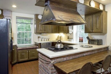 7737 Powder Valley Rd, Zionsville, PA 18092 - photo 4