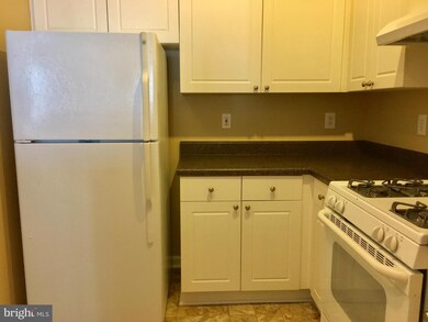 11350 Aristotle Dr unit 7-303, Fairfax, VA 22030 - photo 4