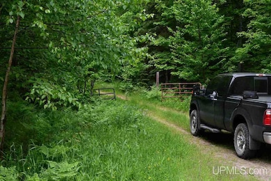 TBD Mud Lake Rd, Lake Linden, MI 49945 - photo 6