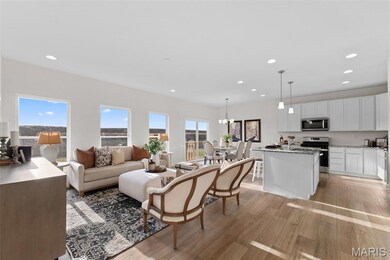 0 Unknown unit MIS25074450, Imperial, MO 63052 - photo 4