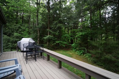 5 Spring Ct unit M-94, Wilmington, VT 05363 - photo 7