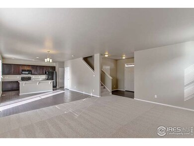 6746 Grainery Rd, Timnath, CO 80547 - photo 5