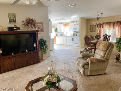 Large Living Room to Kitchen
