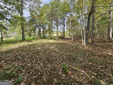 42 Lookout Point, Toccoa, GA 30577 - photo 4