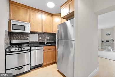 Carrollsburg Square North Tower unit N410, Washington, DC 20024 - photo 7