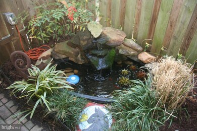 12037 Crimson Ln, Silver Spring, MD 20904 - photo 4