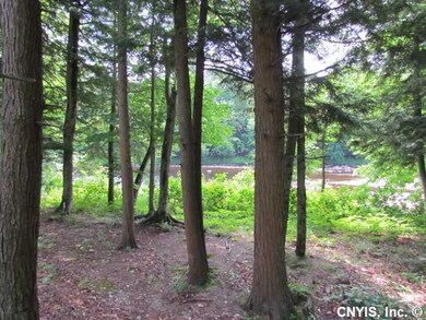 Yard/Garden