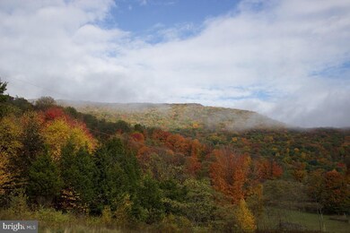 2249 Briery Gap Rd, Riverton, WV 26814 - photo 6