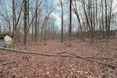 V/L Stoneybrook Trail, Hubbardston, MI 48845 - photo 6
