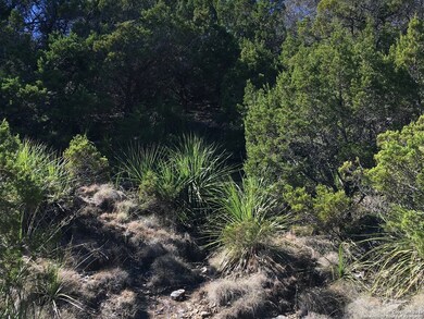 19693 Bluehill Pass, Helotes, TX 78023 - photo 6