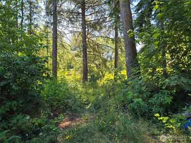 351 W Haven Dr, Matlock, WA 98541 - photo 6