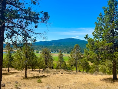 0 Keno Terrace Dr unit 20 220207058, Klamath Falls, OR 97601 - photo 3