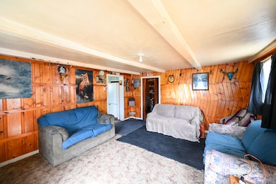 Living room with wooden walls, beamed ceiling, carpet floors, and heating unit