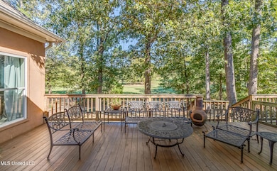 106 Begonia Ln, Madison, MS 39110 - photo 4