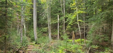 00 Hurd Hill Rd, Lyman, NH 03585 - photo 7