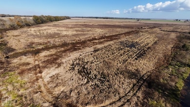 1262 Main St, Knobel, AR 72435 - photo 5