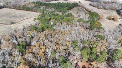 dji_fly_20241213_122328_0257_17341110329