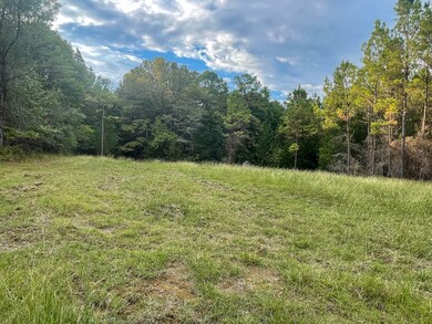 View of yard with a forest view
