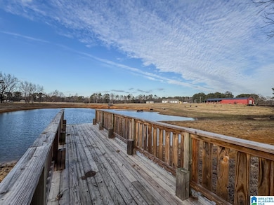 10450 Thermal Rd, Trafford, AL 35172 - photo 7