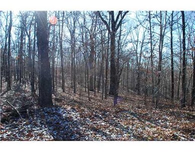 Exterior Front. Lots of common property behind lot. Owner financing available