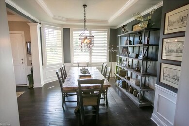 610 Shinnecock Ln, Aurora, OH 44202 - photo 3