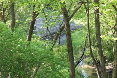 Creek