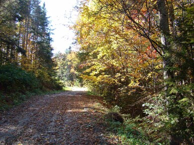 4 Ghastly Job Way unit 4, Wilmington, VT 05363 - photo 7
