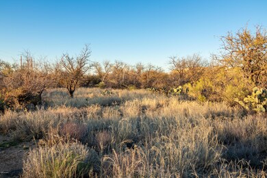 IMG_0910-HDR